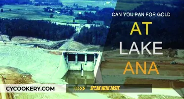 Panning for Gold: Is Lake Ana a Good Spot?