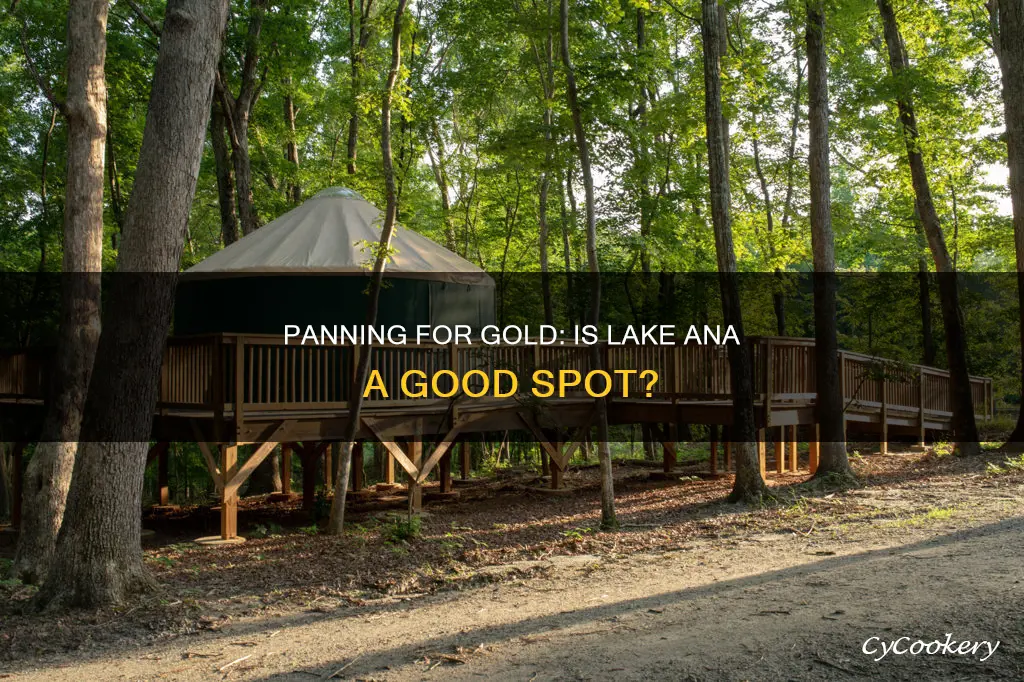 can you pan for gold at lake ana