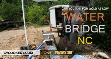 Panning for Gold: Low Water Bridge NC's Hidden Treasure