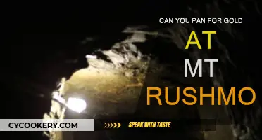 Panning for Gold: Is Mt. Rushmore Worth the Effort?