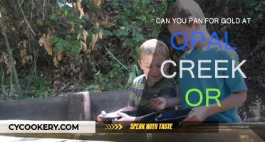 Gold Panning at Opal Creek: Is It Worth It?