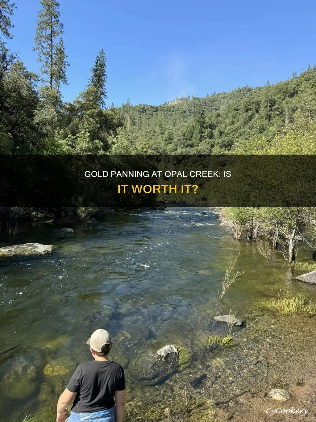 can you pan for gold at opal creek or