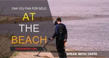 Gold Panning: Can Beaches Make You Rich?