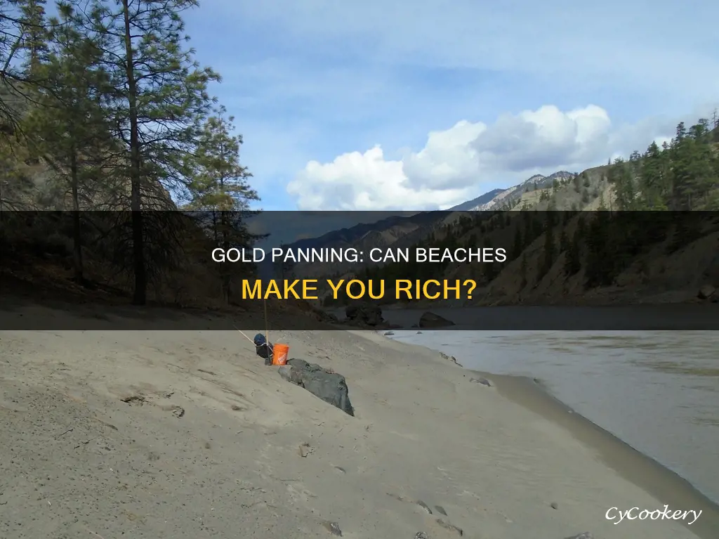 can you pan for gold at the beach