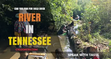 Panning for Gold: Duck River's Hidden Treasures