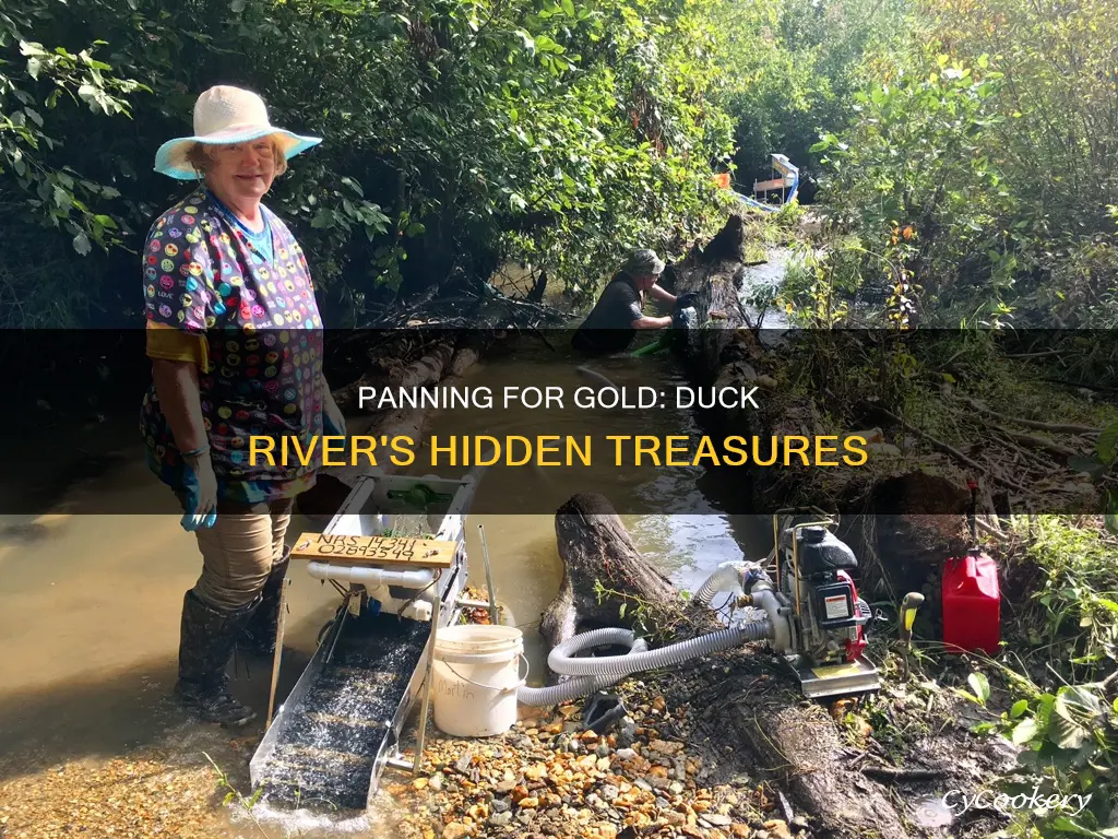 can you pan for gold duck river in Tennessee