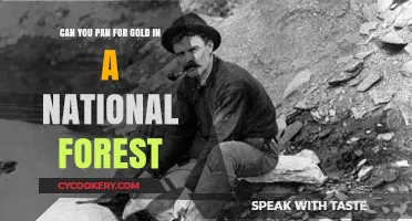 Panning for Gold: Exploring National Forests