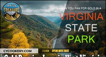 Panning for Gold in Virginia State Parks: Is It Allowed?
