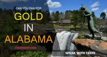 Panning for Gold in Alabama: Is It Possible?