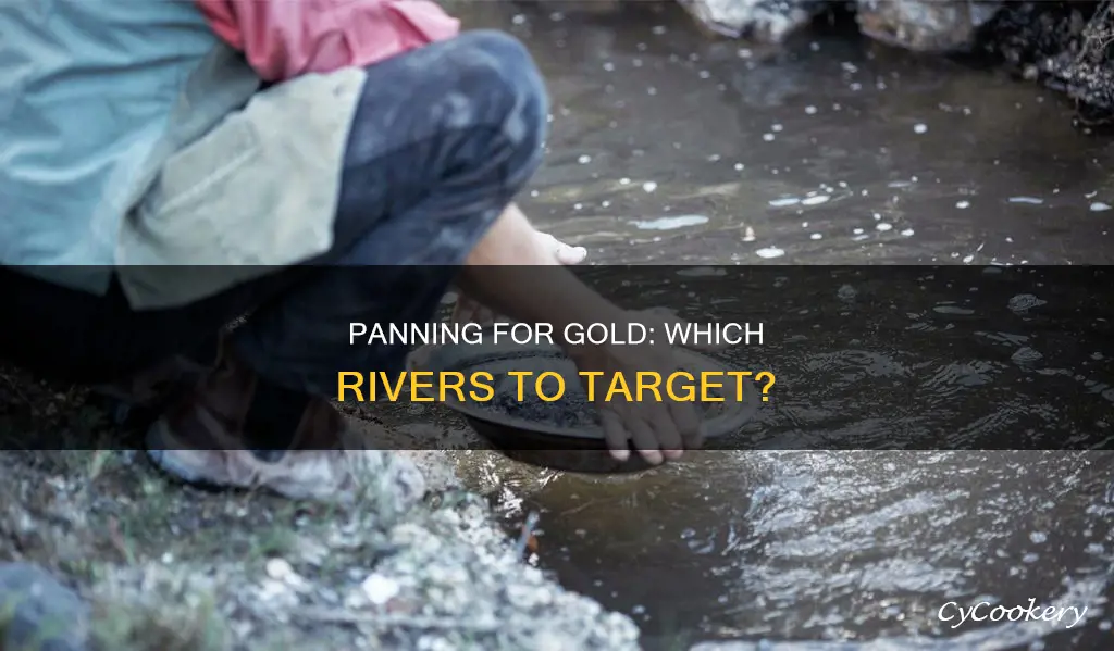 can you pan for gold in any river