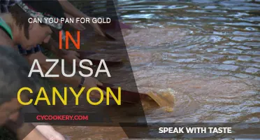 Gold Panning in Azusa Canyon: Is It Possible?