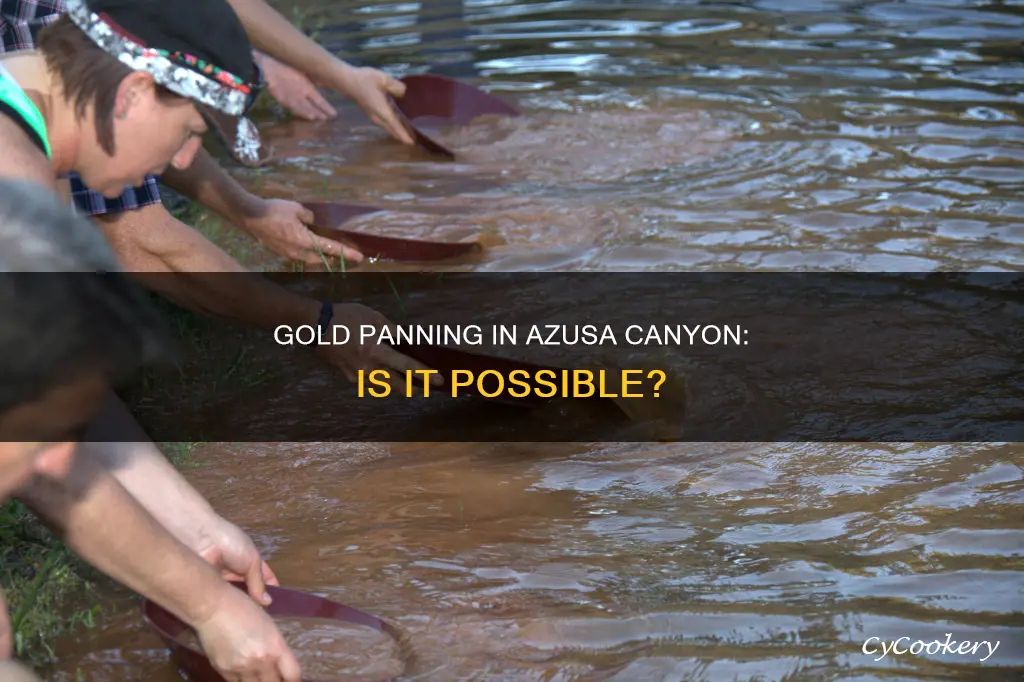 can you pan for gold in azusa canyon