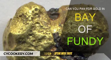 Panning for Gold: Exploring the Bay of Fundy