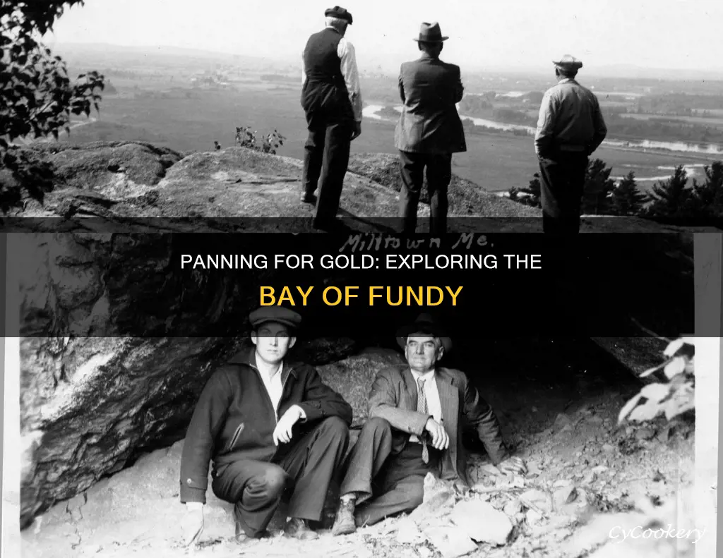 can you pan for gold in bay of fundy