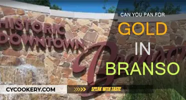 Panning for Gold in Branson: Is It Possible?