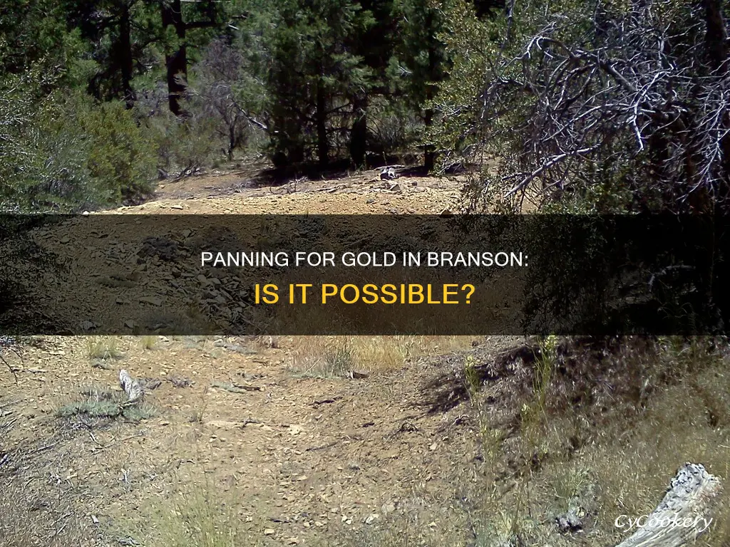 can you pan for gold in branson