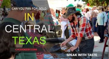 Gold Panning in Central Texas: Is It Possible?