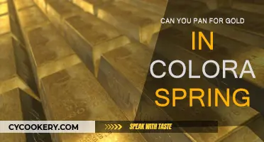 Panning for Gold in Colorado Springs: Is It Legal?