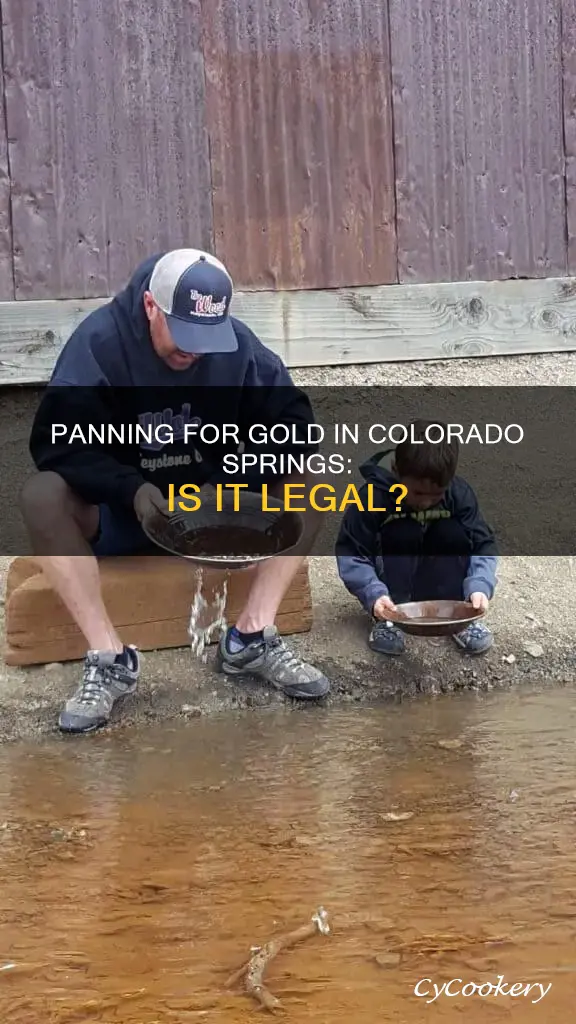 can you pan for gold in colorado springs