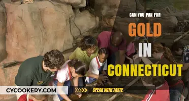 Panning for Gold in Connecticut: Is it Possible?