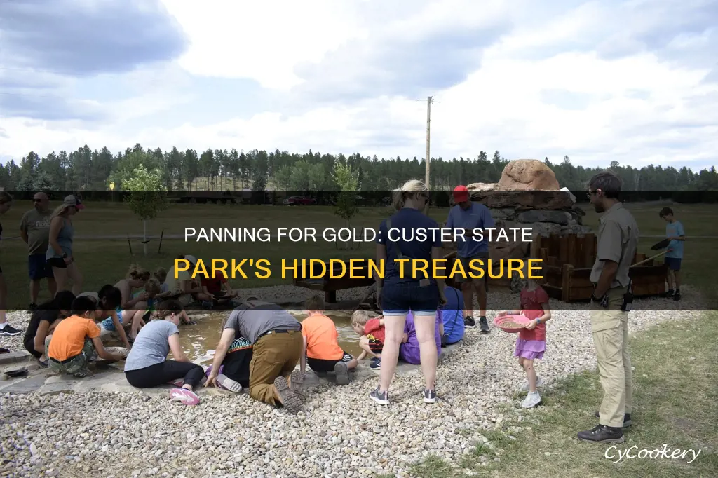 can you pan for gold in custer state park