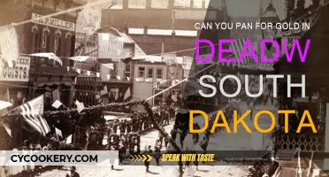 Panning for Gold in Deadwood, South Dakota: Is It Possible?