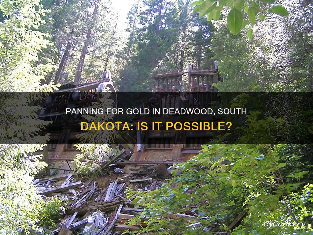 can you pan for gold in deadwood south dakota