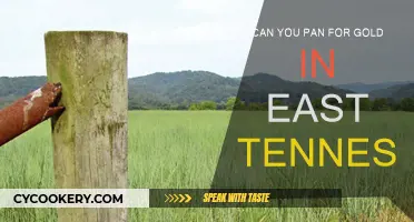 Panning for Gold in East Tennessee: Where to Go?