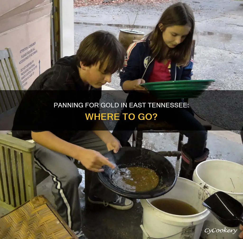 can you pan for gold in east tennessee