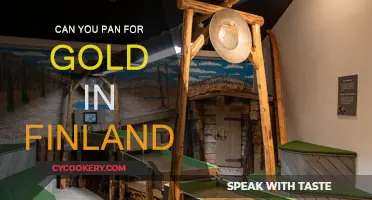 Panning for Gold in Finland: Is It Possible?