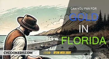 Panning for Gold in Florida: Is it Possible?