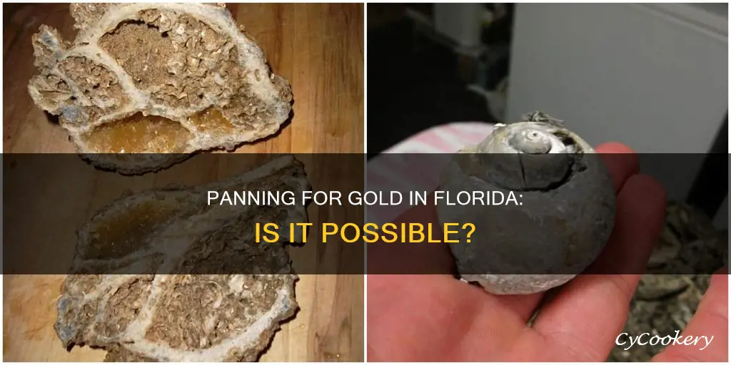 can you pan for gold in Florida