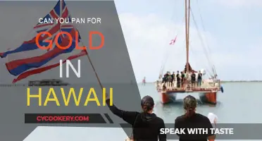 Panning for Gold in Hawaii: Is It Possible?