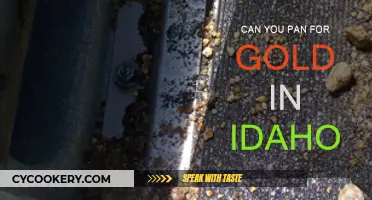 Panning for Gold in Idaho: Is It Possible?