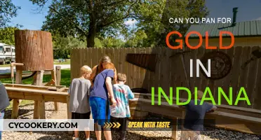 Panning for Gold in Indiana: Is It Possible?