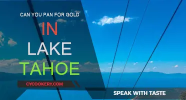 Panning for Gold: Is Lake Tahoe a Good Spot?