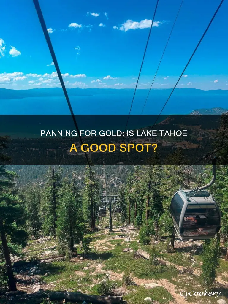 can you pan for gold in lake tahoe