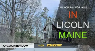Panning for Gold: Lincoln, Maine's Hidden Treasure