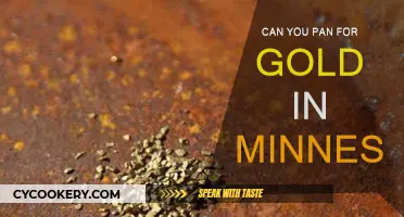Panning for Gold in Minnesota: Is It Possible?