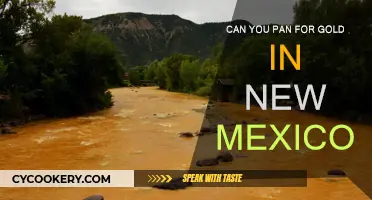 Gold Panning in New Mexico: Where to Look?