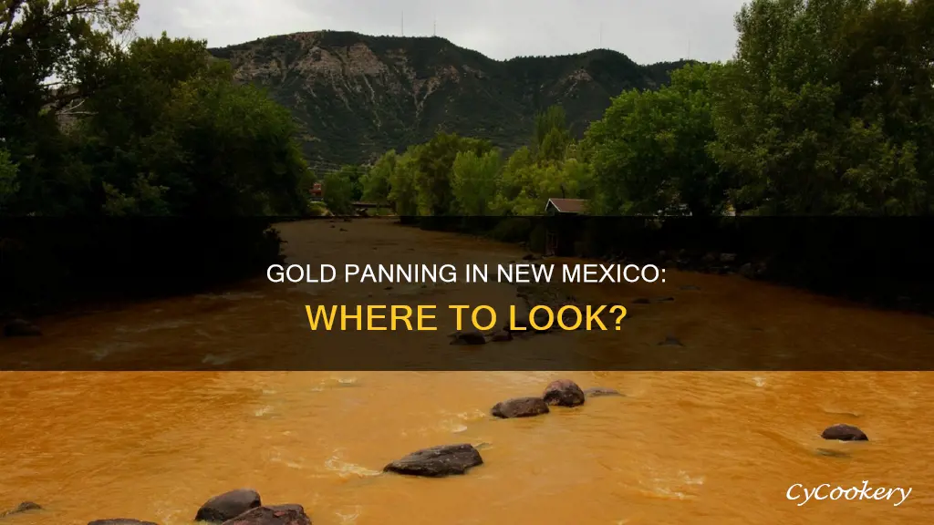 can you pan for gold in new mexico