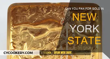 Panning for Gold in New York State: Is it Possible?