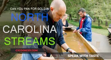 Panning for Gold: North Carolina's Streams
