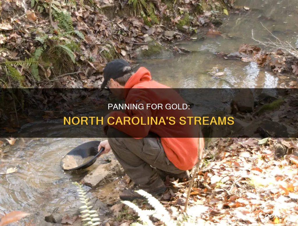 can you pan for gold in North Carolina streams