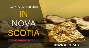 Panning for Gold in Nova Scotia: Is It Possible?