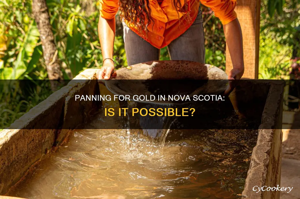 can you pan for gold in nova scotia