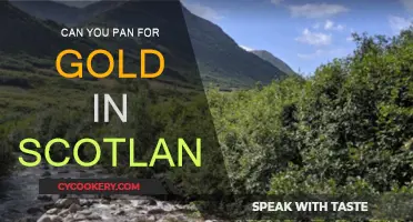 Panning for Gold in Scotland: Is It Possible?