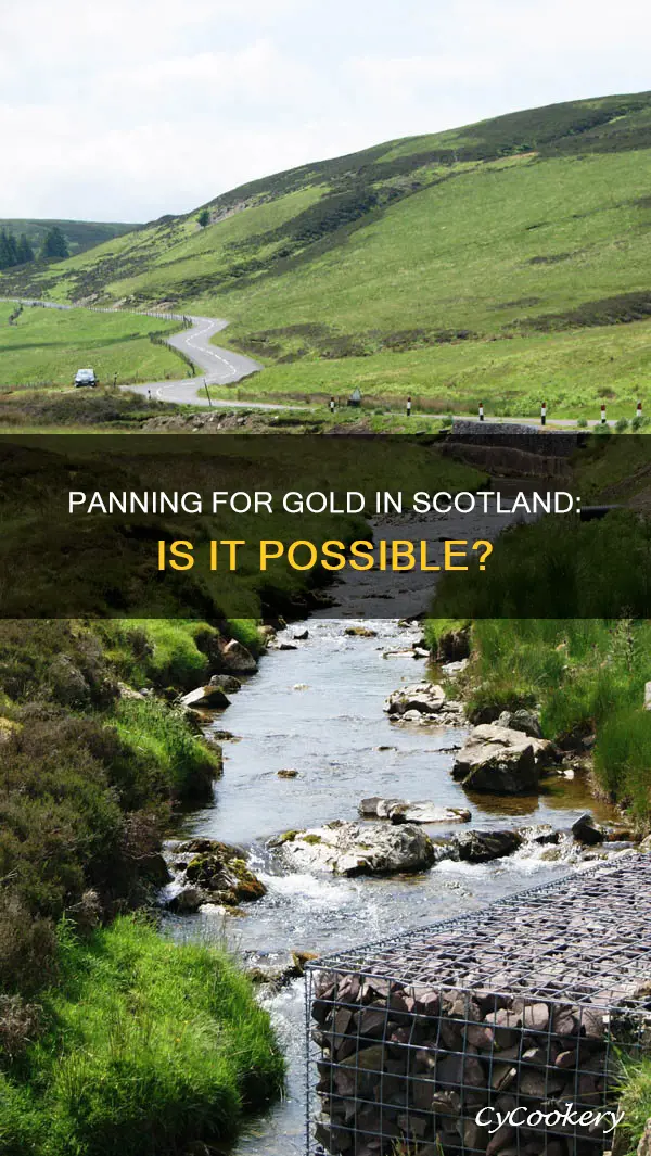 can you pan for gold in scotland