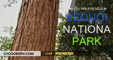Panning for Gold in Sequoia: Is It Allowed?