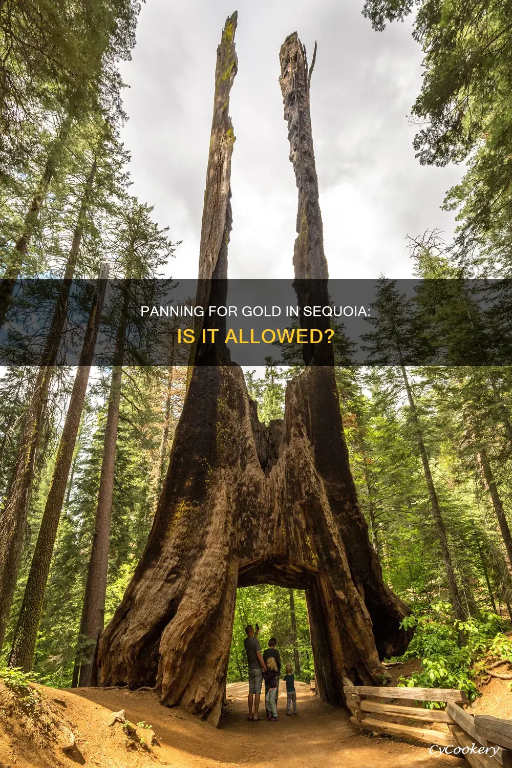 can you pan for gold in sequoia national park